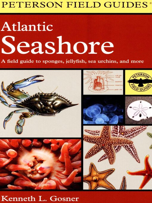 Title details for Atlantic Seashore by Kenneth L. Gosner - Available